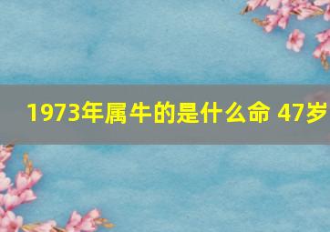 1973年属牛的是什么命 47岁